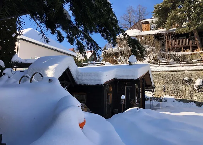 Traditional Cozy Cottage Bocanka