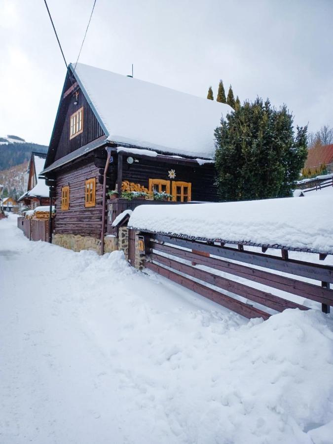 Holiday home Traditional Cozy Bocanka